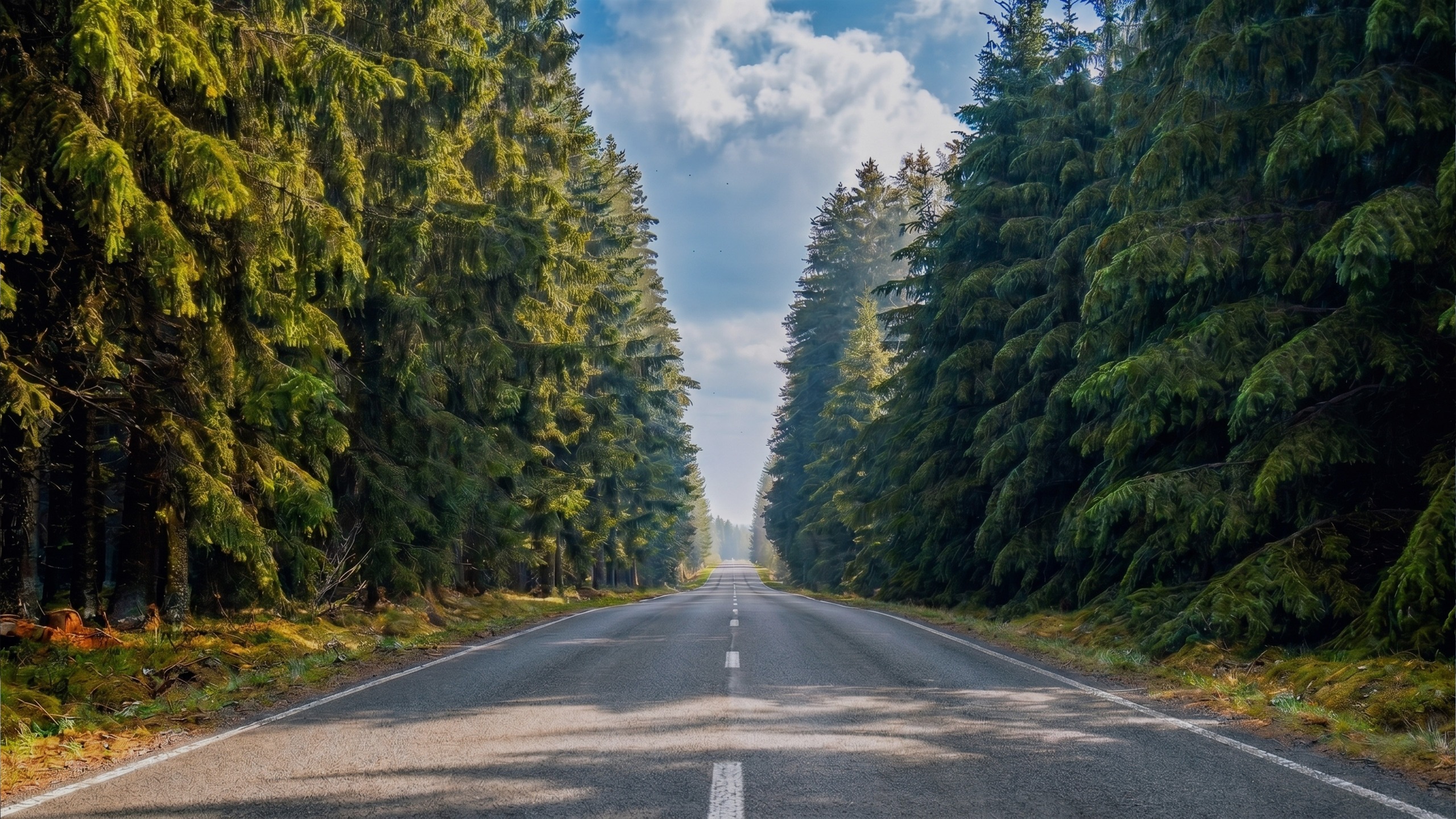 BTW compliance diensten in meer dan 50 landen wereldwijd