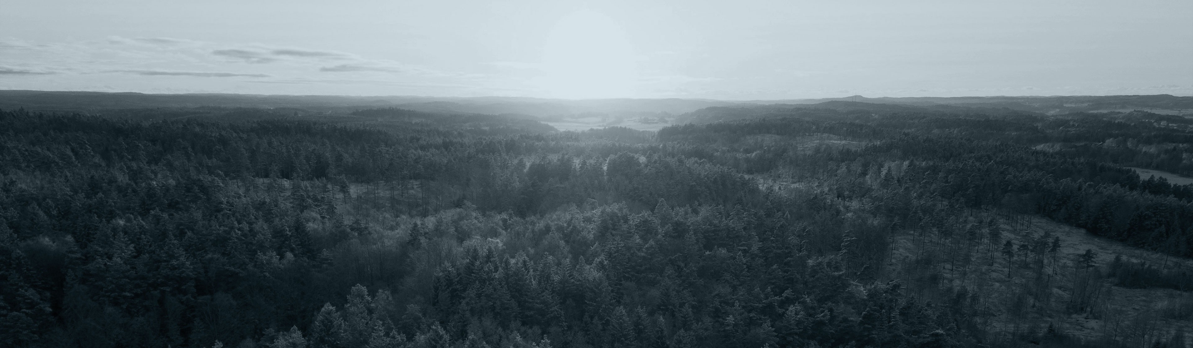 VAT Registration and VAT returns in Finland