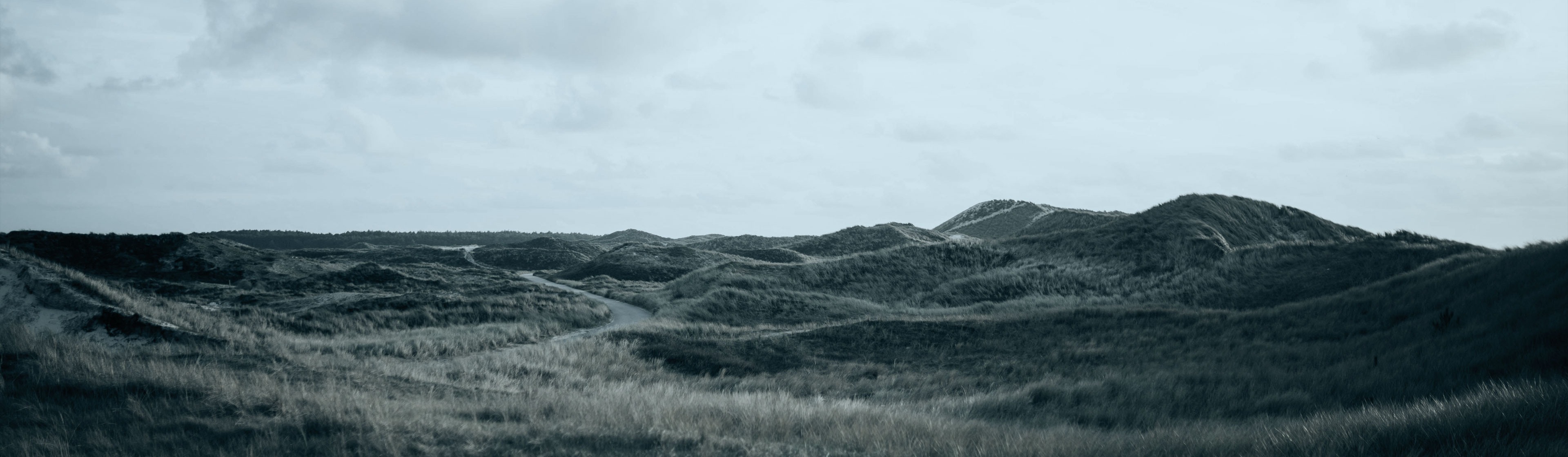 BTW-registratie en BTW-aangiften in Denemarken