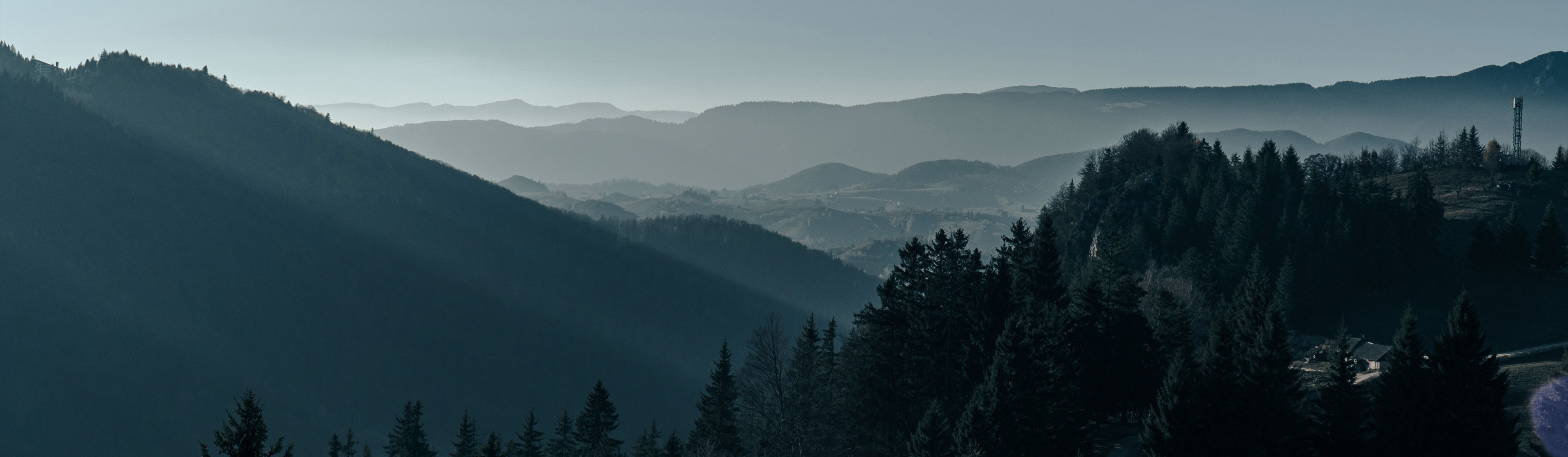 VAT Registration and VAT returns in Romania